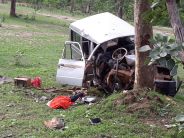 Three killed, dozens injured