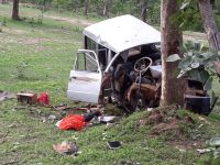 Three killed, dozens injured