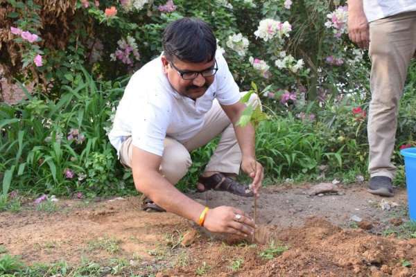 Plantation drive of Patrika Group Harit pradesh in Satna