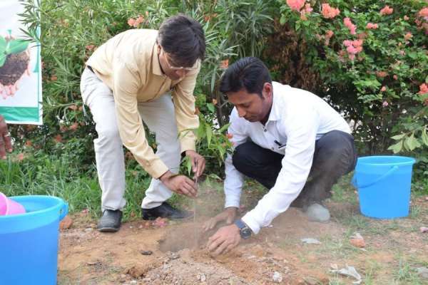 Plantation drive of Patrika Group Harit pradesh in Satna