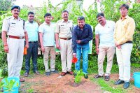 patrika Harit Pradesh campaign in satna madhya pradesh news in hindi