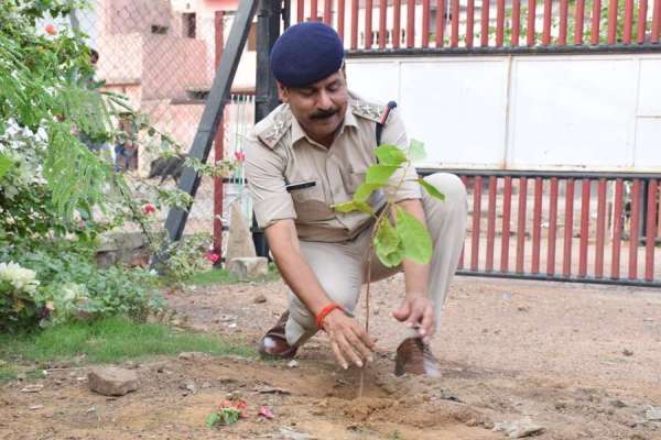 Plantation drive of Patrika Group Harit pradesh in Satna