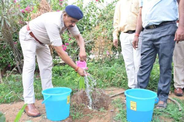Plantation drive of Patrika Group Harit pradesh in Satna