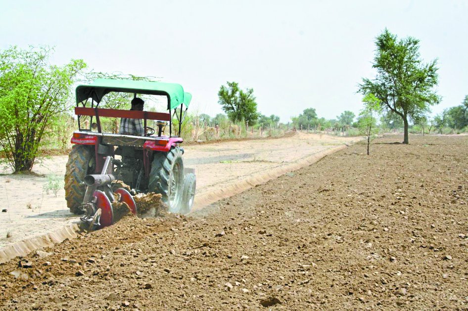 मानसून थमने से किसानों व पशुपालकों की उड़ी नींद