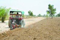 मानसून थमने से किसानों व पशुपालकों की उड़ी नींद