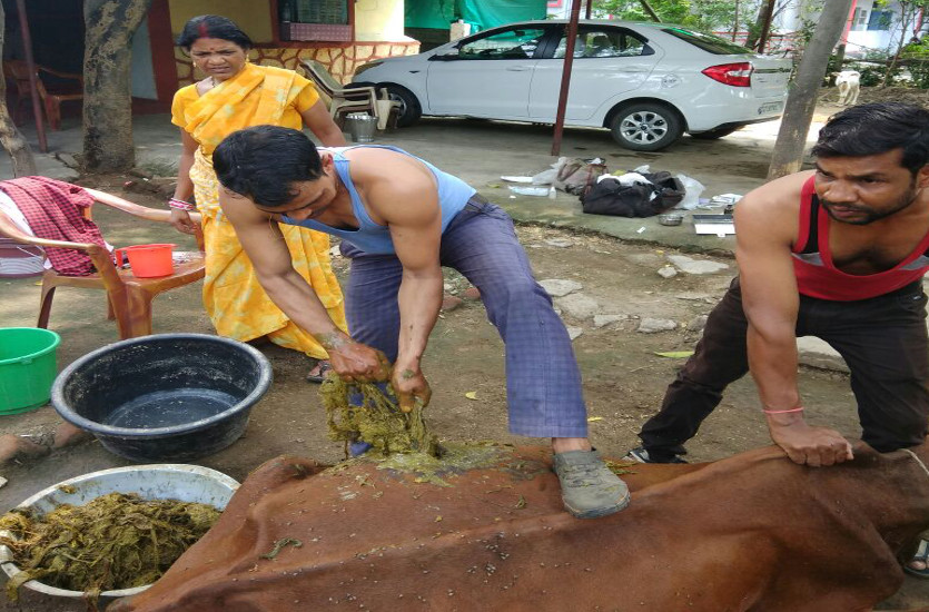 राठौर ने एक पशु चिकित्सक से सम्पर्क किया