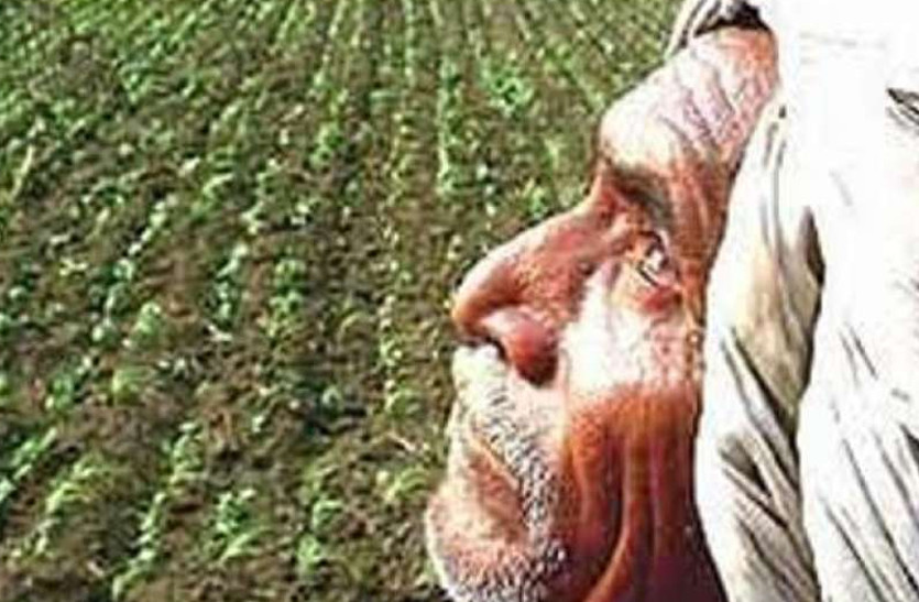 farmers