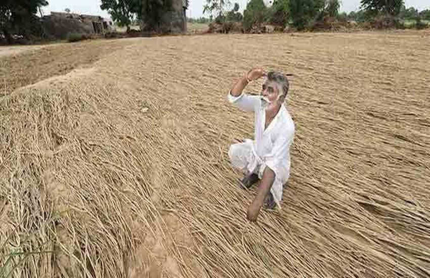 No uga millet, bhaipiputra in economic crisis
