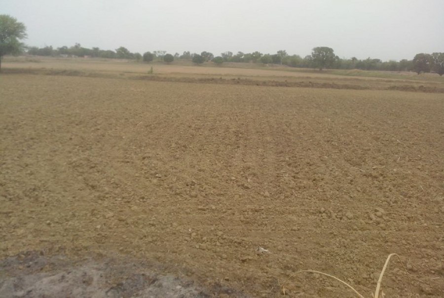 Due to dry condition in Rewa, sowing is not possible in kharif crop