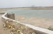 sirohi