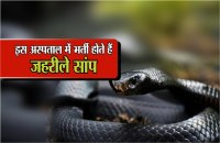 Ajab- Gajab इस अस्पताल में भर्ती होते हैं जहरीले सांप