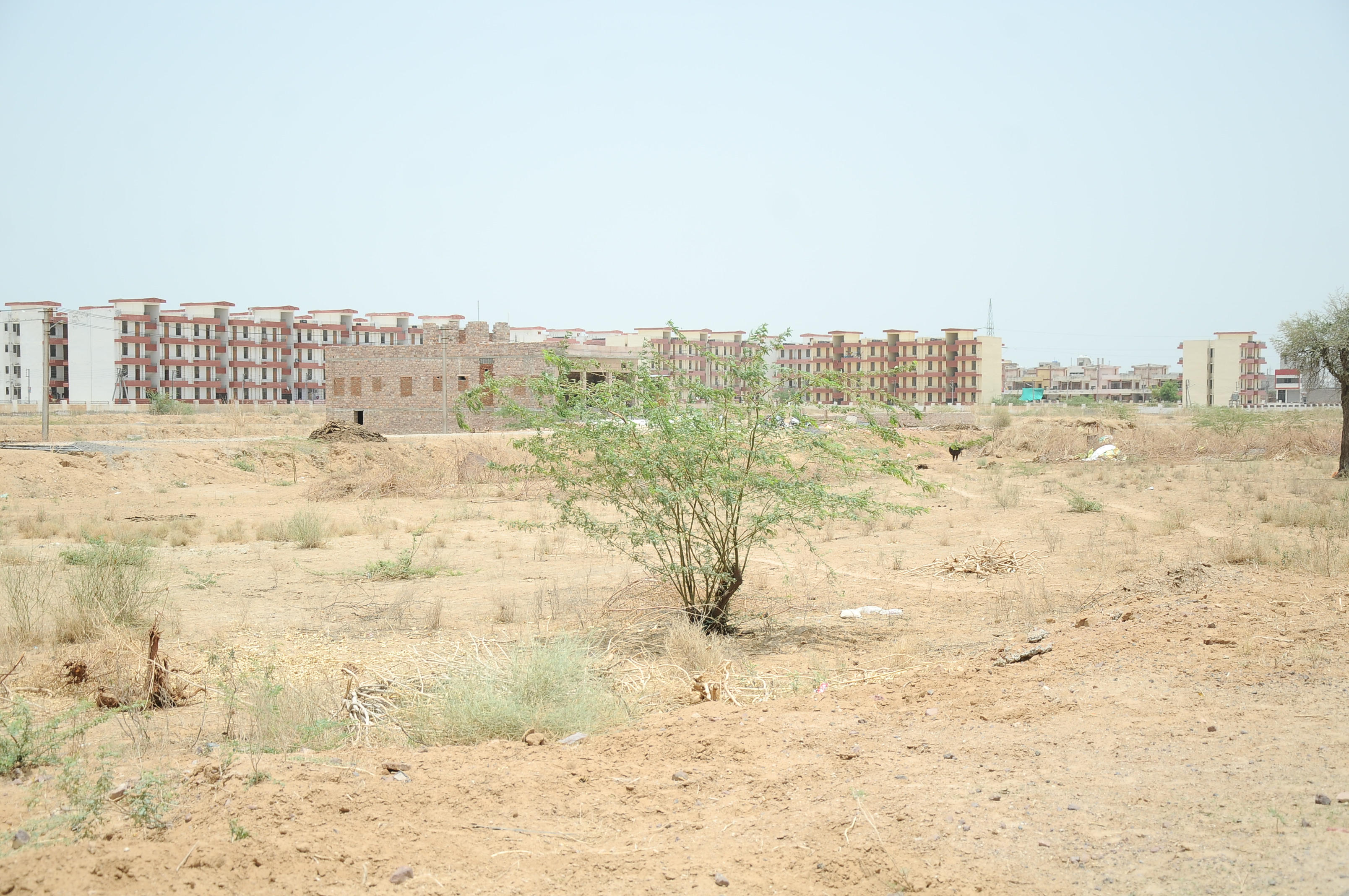 mismanagement,jodhpur news,Vivek Vihar Colony,jda jodhpur,