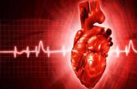 Heart 