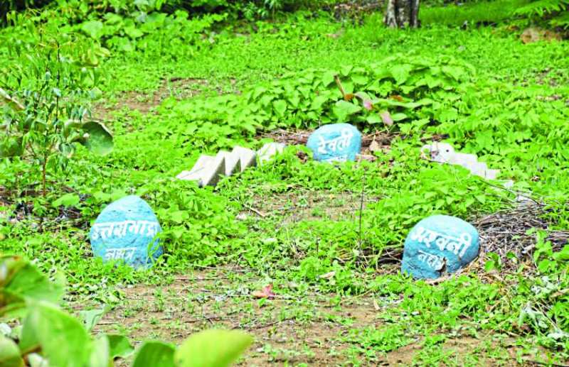 अनूठा प्रयोग : प्रदेश का पहला नक्षत्र वन,27 नक्षत्रों के हिसाब से लगाए 27 पौधे