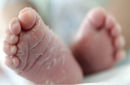 new born baby 