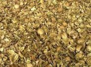 डोडा तस्करों का डर या खुद नशे में आबकारी थाना