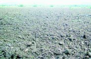 बारिश का इंतजार, खाली पडे हैं खेत