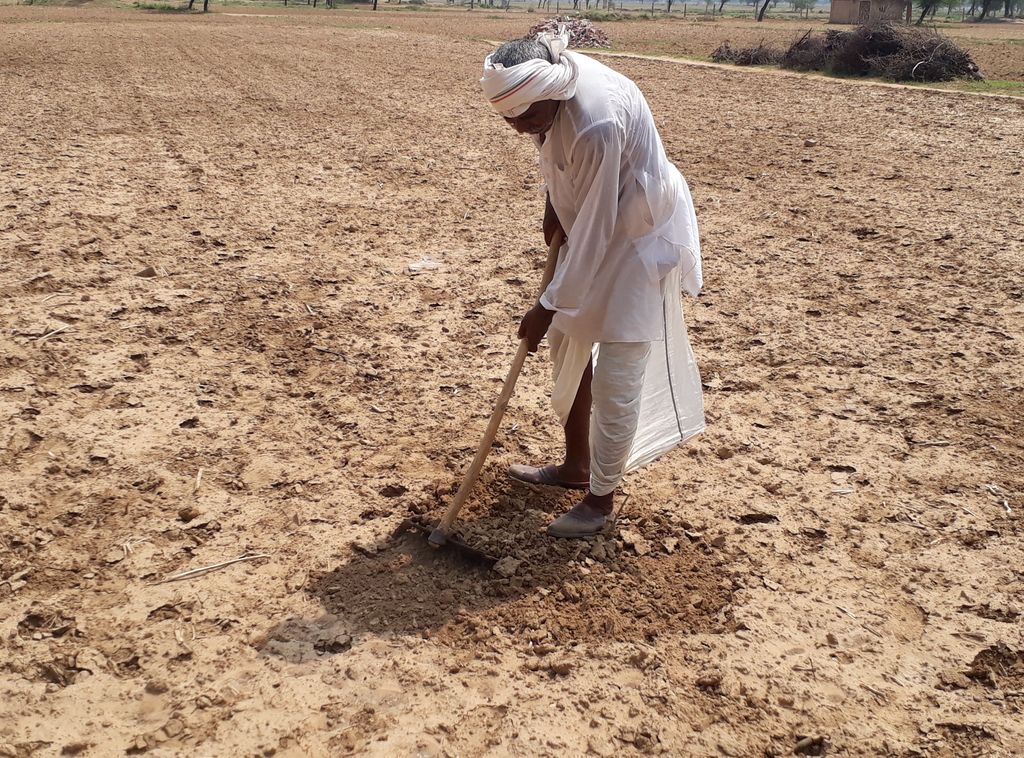 hindaun karauli news
