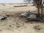 jaisalmer news