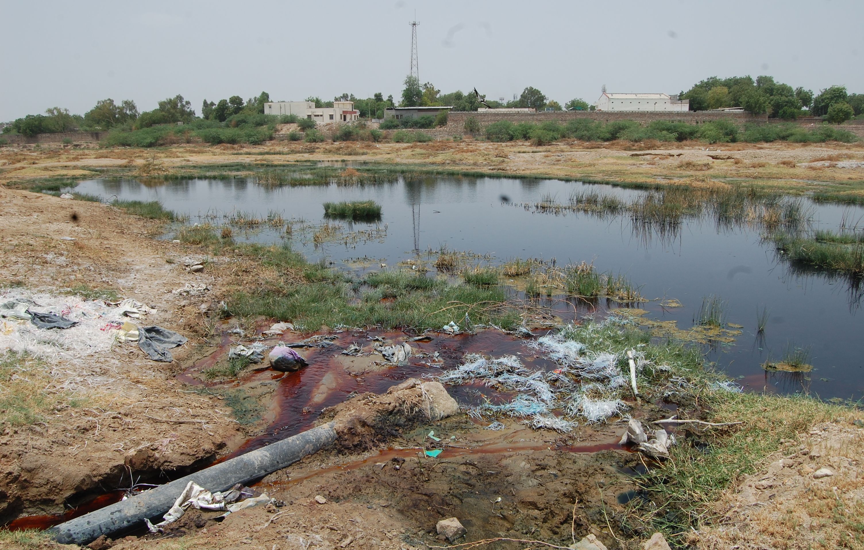 Polluted or colorful water