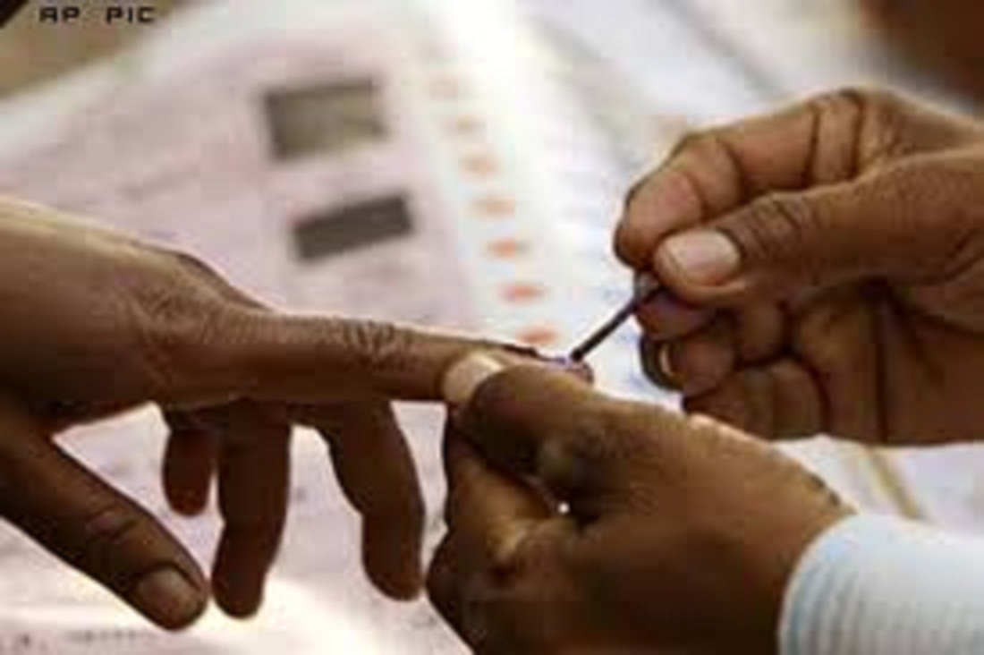 Due to sub-election in panchayats, badul, appointed returning and assistant returning officer