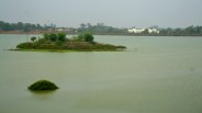 Ashoknagar Collect water