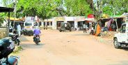 Matsya university will make haldina village smart