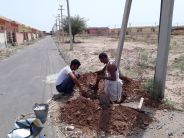 nagaur hindi news