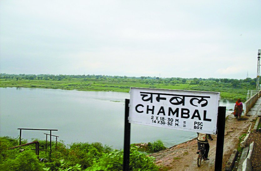 chambal water project news