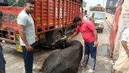 meerut