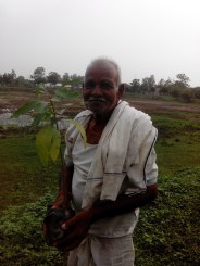 Know ... ... save environment will plant 5 lakh 64 thousand plants, ho