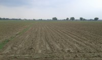 Sowing start in Rewa after rain, relief of farmers dried crop