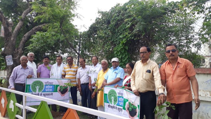 Plants Roof Green City Green Region