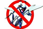 dengue 
