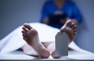 body donation