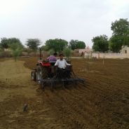 बारिश से खिले धरतीपुत्रों के चेहरे, खेतों में आई रौनक
