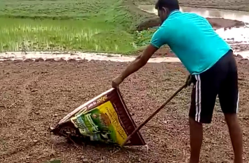 इस घर में 15 दिन के भीतर निकले 15 नाग, अब तक किसी को नहीं पहुंचाया नुकसान, जानें क्या कहते हैं मांत्रिक...