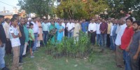 Patrika Harit Pradesh campaign: MP and MLA planted tree in Rewa