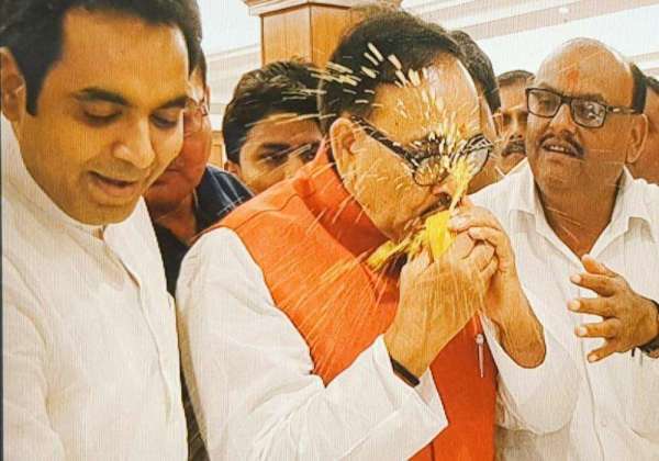 bjp Mango pantry