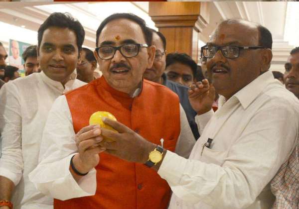 bjp Mango pantry