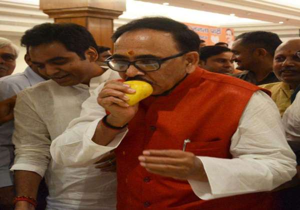 bjp Mango pantry