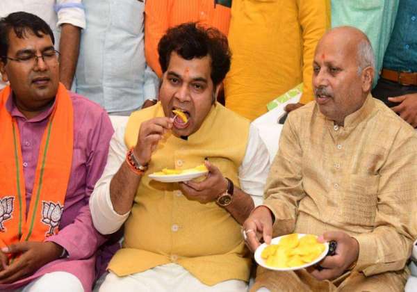 bjp Mango pantry