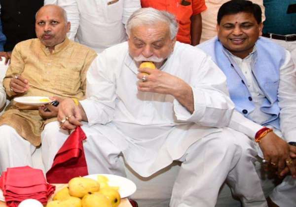 bjp Mango pantry