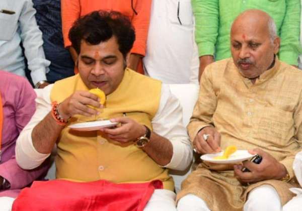bjp Mango pantry
