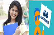 job-opportunity-for-graduate-postgraduate-pass