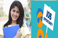 job-opportunity-for-graduate-postgraduate-pass