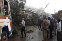 The trees fell on the streets in Walparai and Oot