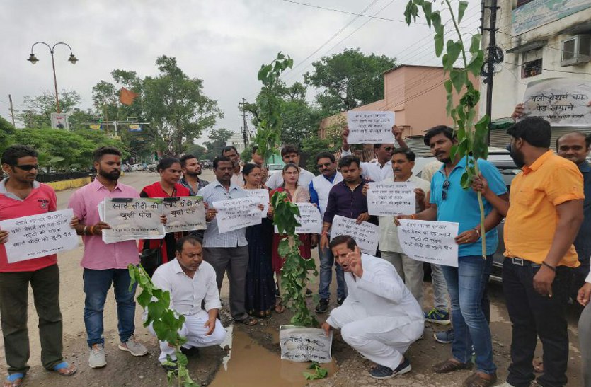 कांग्रेस का प्रदेश सरकार पर अटैक, पूरे शहर गड्ढ़ों में सड़क खोज बेशर्म का लगाया पौधा