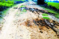 Maihar bathiya karsara road news in hindi