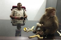 पुलिस वालों ने केला मंगाकर खिलाया